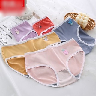 Set 10 quần chip cotton chính hàng nan.ji.ren