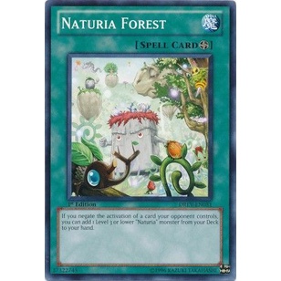 Thẻ bài Yugioh - TCG - Naturia Forest  / DREV-EN051