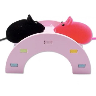 Cầu cho hamster, cầu thang cho hamster.