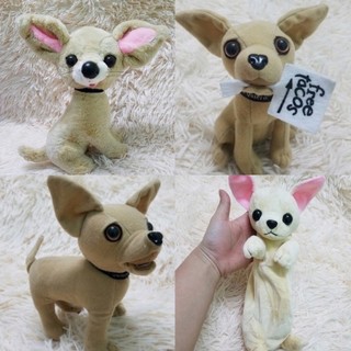 Gấu bông con chó Chihuahua