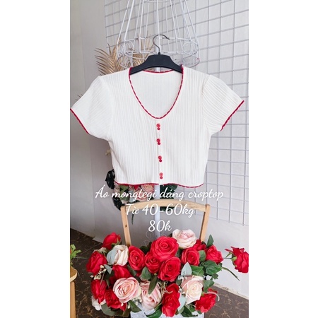 Áo mongtegi dáng croptop