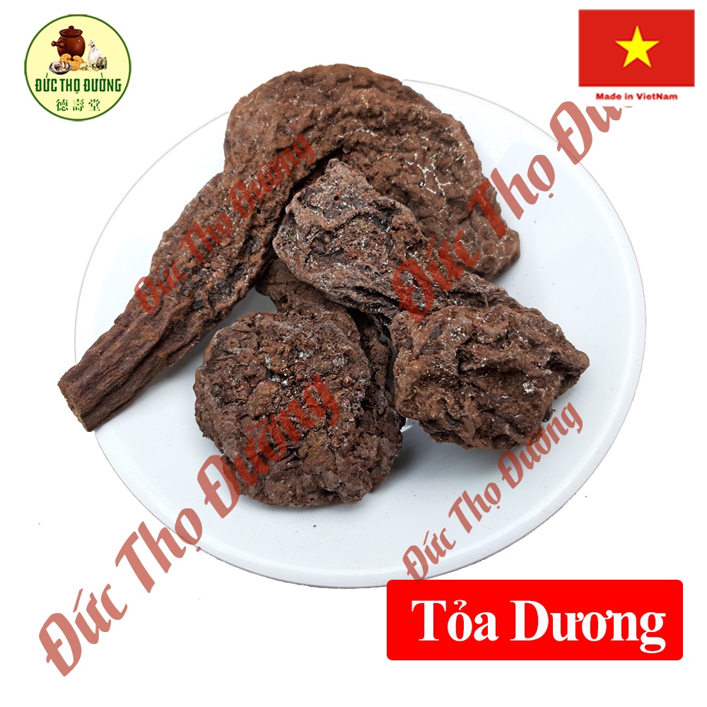 Tỏa Dương - Loại To phơi sấy khô - Túi 100g