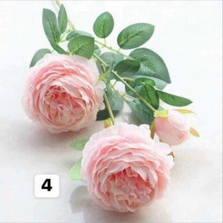 hoa trà 2 bông 1 nụ hàng đẹp.