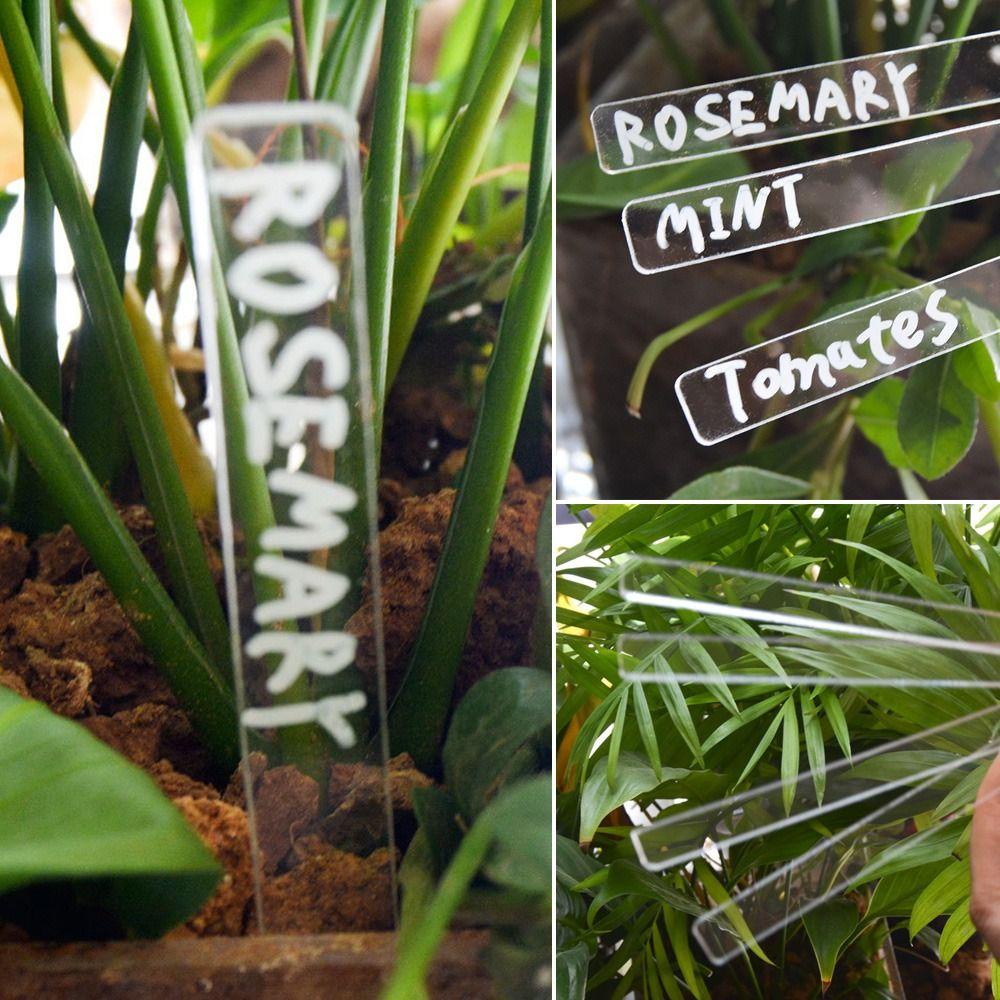 Bộ 24 Miếng Dán Đánh Dấu Cây Trồng Bằng Acrylic Đa Năng DIY