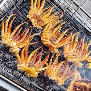Đầu râu mực (500g)