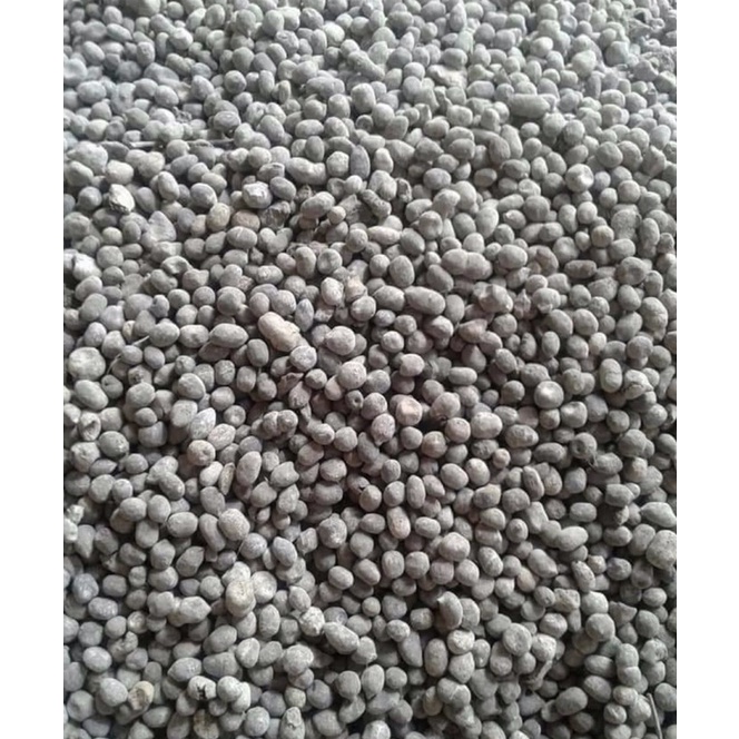 Phân dê sạch đã qua xử lý. Dùng cho ngành hoa lan, hoa mai, cây cảnh.