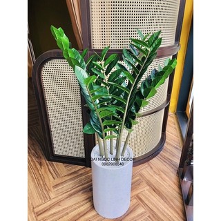 cây kim tiền giả 90cm