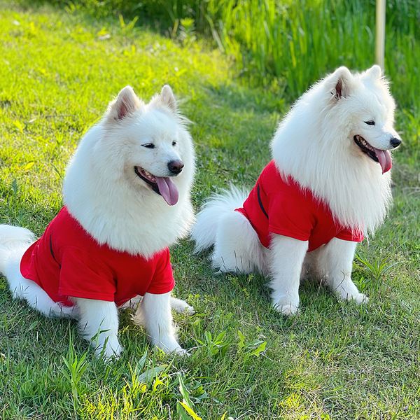 Áo Xuân Hè Phong Cách Samoyed Màu Vàng Đồng Hình Chó Shiba Inu Husky Cỡ Vừa Và Lớn Chống Mất Công Chúa Cho Cún Cưng
