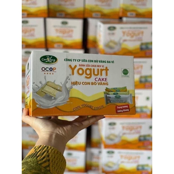 BÁNH SỮA CHUA MIX VỊ CON BÒ VÀNG - THÙNG 1 kg