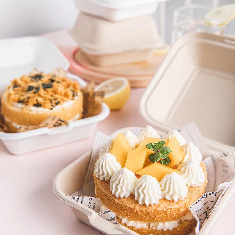 50 Hộp bã mía đựng bánh kem size bento, Các loại bánh khác