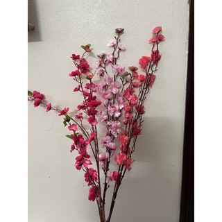 hoa a đào rẻ thanh lý