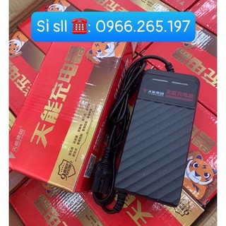 Sạc Ắc Quy Xe Điện, [Chống Phồng Bình ,Tự Động Ngắt Khi Đầy]