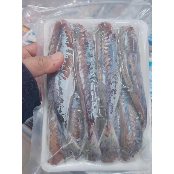 CÁ NỤC 1 NẮNG 1kg -SHIP HOẢ TỐC