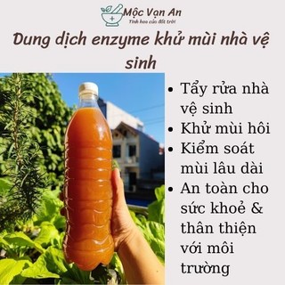 Dung dịch enzyme sinh học đậm đặc khử mùi nhà vệ sinh - tẩy rửa nhà vệ sinh Bio Cleansing - Công Nghệ Vi Sinh Nhật Bản