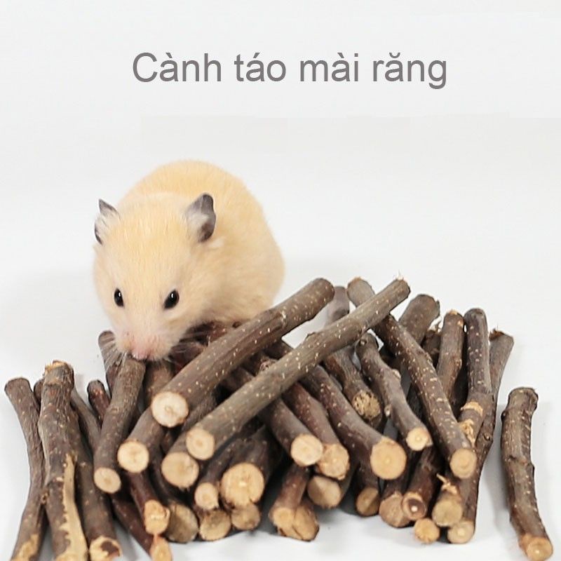 Cành táo mài răng 50gr  cho hamster, thỏ, bọ ú, sóc