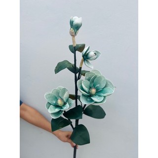 MỘC LAN ĐẠI 2 Nụ 2 Bông