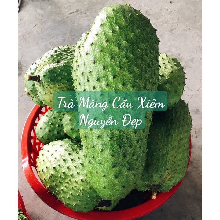 *(500G)* TRÀ MÃNG CẦU XIÊM NGUYỄN ĐẸP