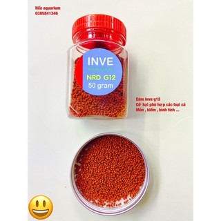 Cám inve thái g12- giúp cá lớn nhanh và lên màu đẹp