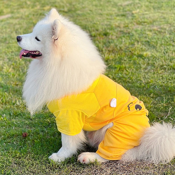 Áo Thun Xuân Thu Cho Cún Cưng Samoyed Gold Retriever Labra Polygonal Shiba Inu Cỡ Vừa Và Lớn