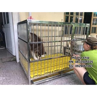 Hỗ trợ Ship-  -Tấm nhựa ghép sàn chuồng chó mèo, tấm ghép sàn chó TẤM LỚN VÀNG
