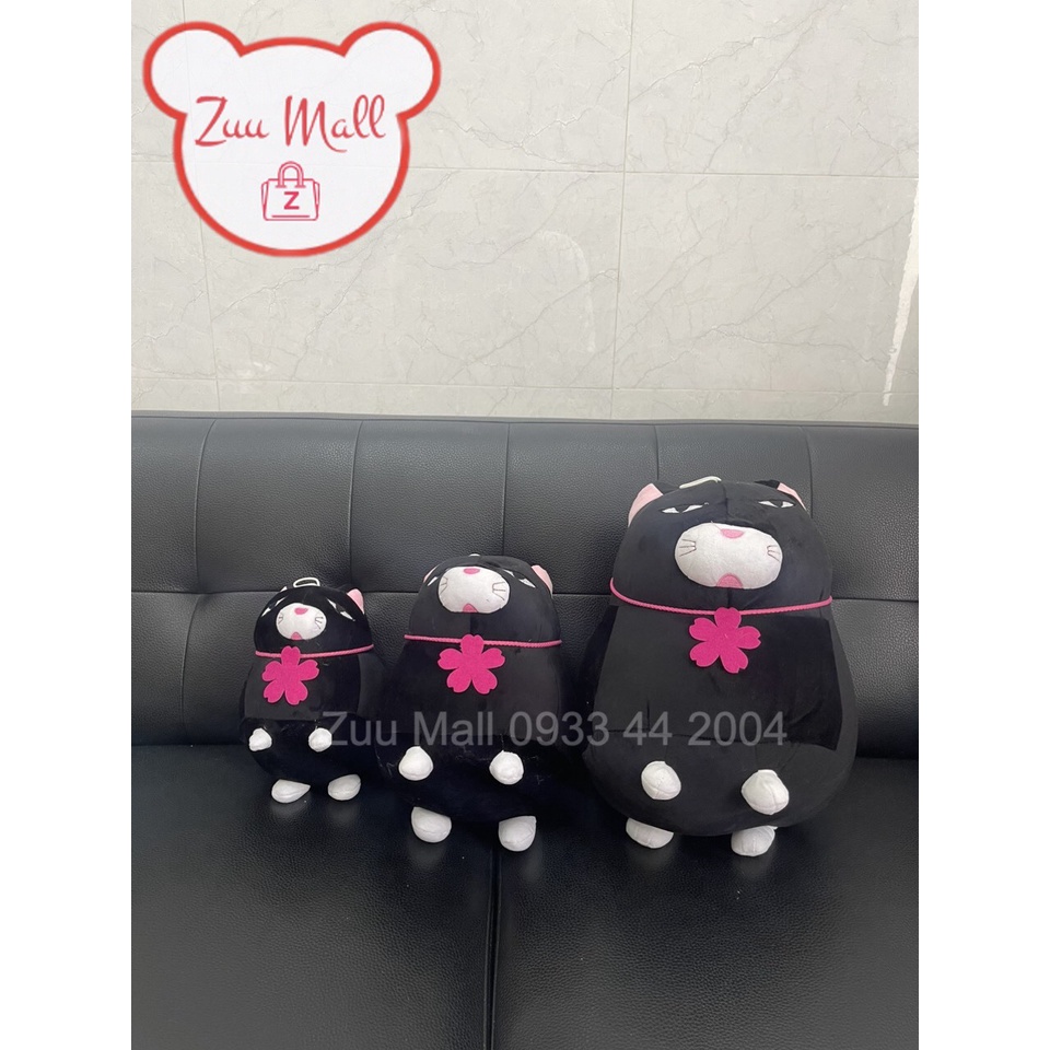 Mèo đen gấu bông