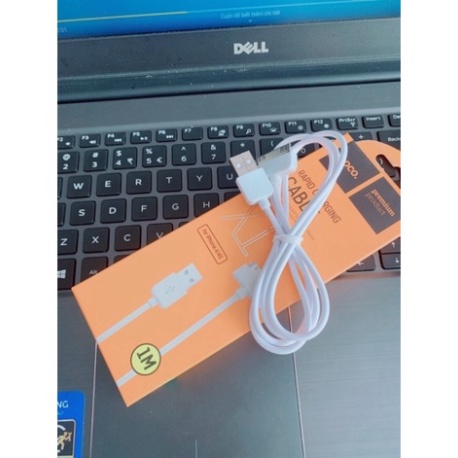 HCM Dây cáp sạc nhanh HoCo X1 cho tablet táo 2,IP4,IP4S-3G máy nghe nhạc táo Nano Bảo hành 12 tháng-freeship