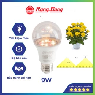 Đèn led trồng hoa cúc 9W Rạng Đông - Đèn trồng cây trong nhà 9w Model: LED HC A60/9W 3000K