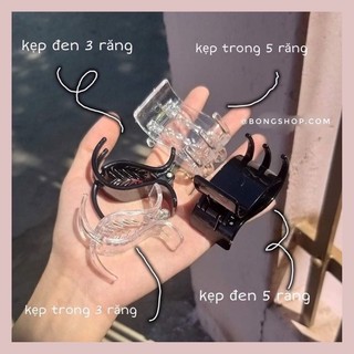 Kẹp càng cua màu trắng trong 5 răng