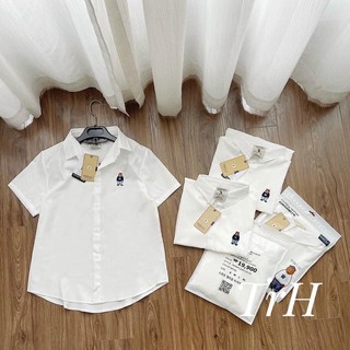 Áo sơmi gấu cộc tay