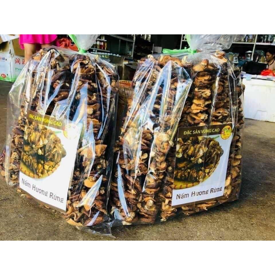 Nấm Hương Rừng Khô Lai Châu Túi 500G Thơm, Ngon Giàu Dinh Dưỡng, Đặc Sản Tây Bắc