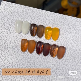 Set 6 sơn gel thạch hổ phách siêu hot