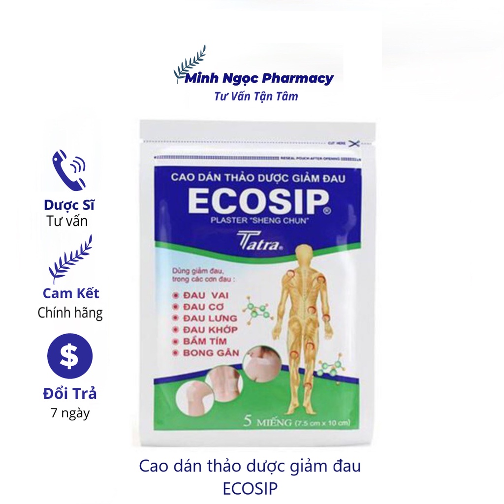 Cao dán thảo dược giảm đau ecosip tatra ( gói 5 miếng )