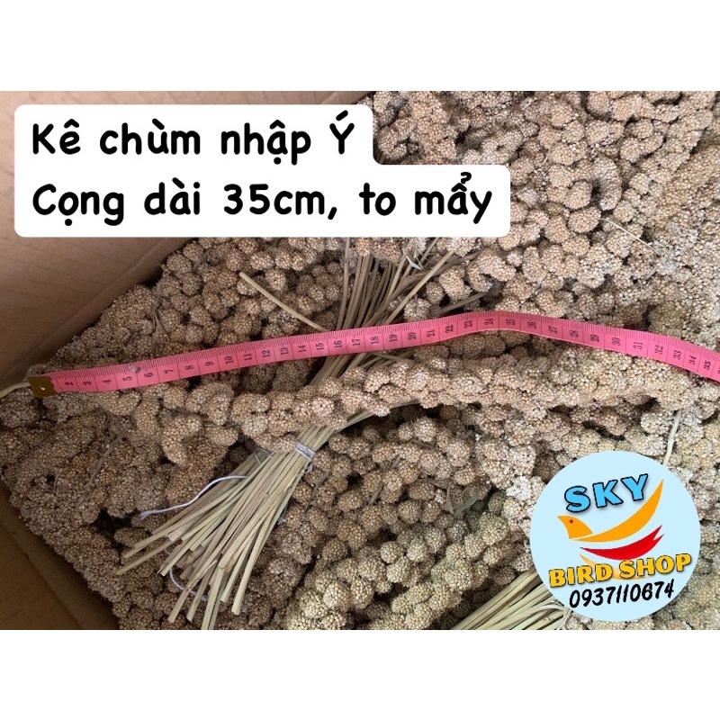 Kê chùm cho chim cảnh 1kg ( nhập Ý)