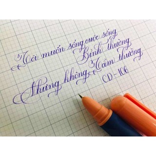 Bút máy cd 106 ngòi kim tình _ hopbutdep