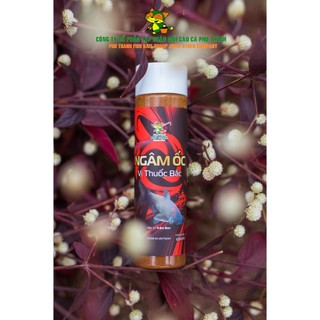 Ngâm ốc thuốc bắc Phú Thành