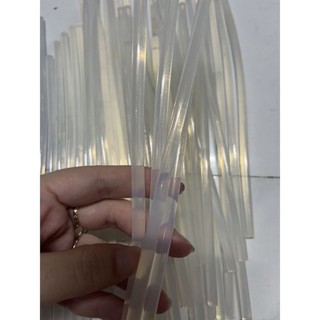 10 cây keo nến, keo cây loại nhỏ