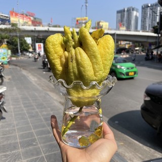 Ly thuỷ tinh cắm phật thủ cắm quả to nhỏ đều vừa