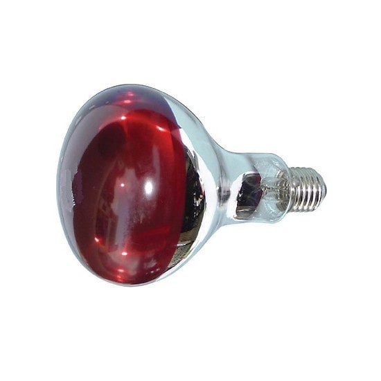 Bóng sưởi chó mèo đèn hồng ngoại 175W giúp sưởi ấm thú cưng bóng úm mèo và chó nhỏ
