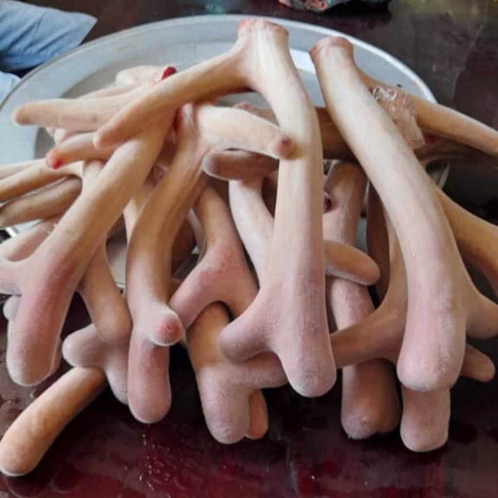 Nhung hươu khô sấy lạnh từ nhung hươu tươi thái lát, đảm bảo giữ nguyên lượng huyết, dinh dưỡng. Nhung hươu tăng cân