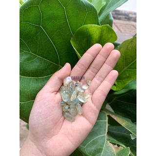 Đá vụn Prehnite | CADA DECOR