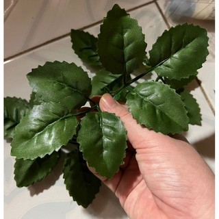 Lá hồng kép 1 nhánh 6 lá, lá táo nhánh