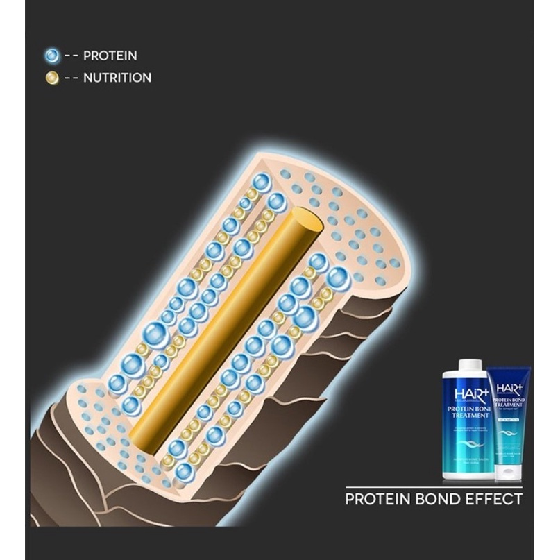 Dầu gội, xả cho tóc khô xơ Hair Plus Protein 1000ml, 700ml