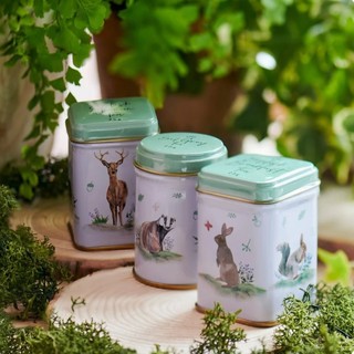 Set 3 hộp thiếc mini trà lá New English Tea dòng Woodland Friends