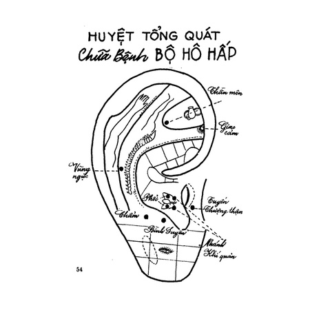 Hình nhĩ châm & tài liệu