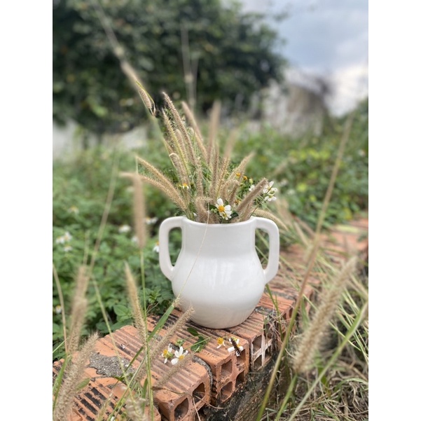 Bình Cắm Hoa Hàng Xuất Khẩu Cao Cấp