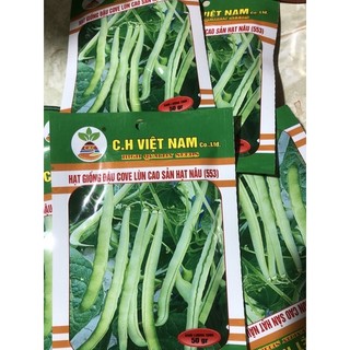 Hạt giống Đậu Cove xanh 50 gr ☘️