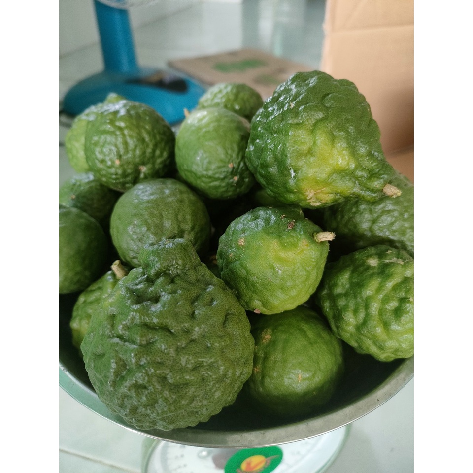 0,5kg trái chúc. Hàng tươi mới bẻ trên cây xuông khi khách đặt