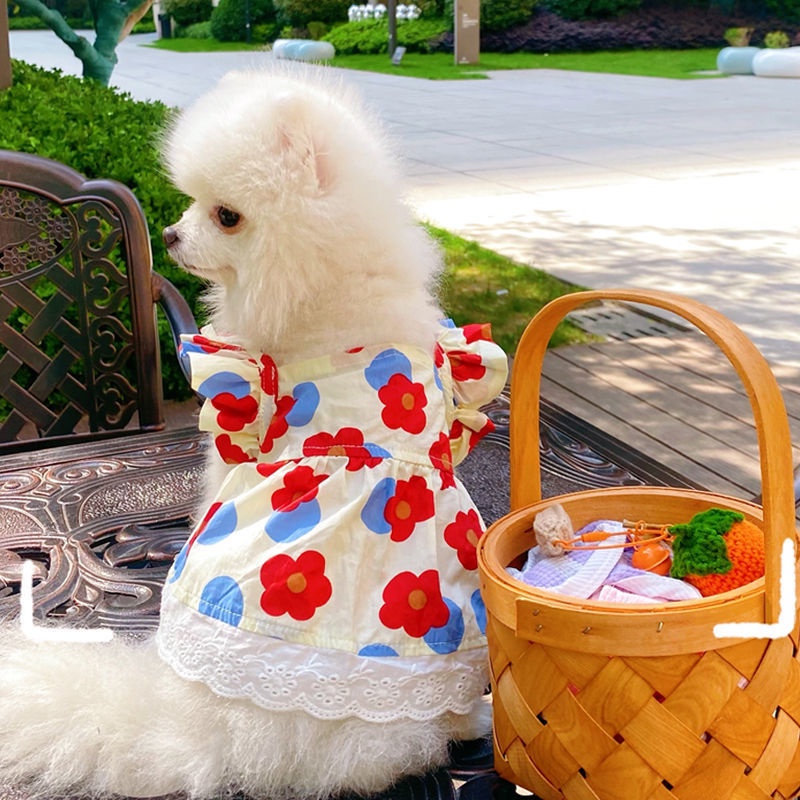 Áo Và Váy cotton Nguyên Chất In Hoa Thời Trang Xuân Hè Mới Cho Thú Cưng