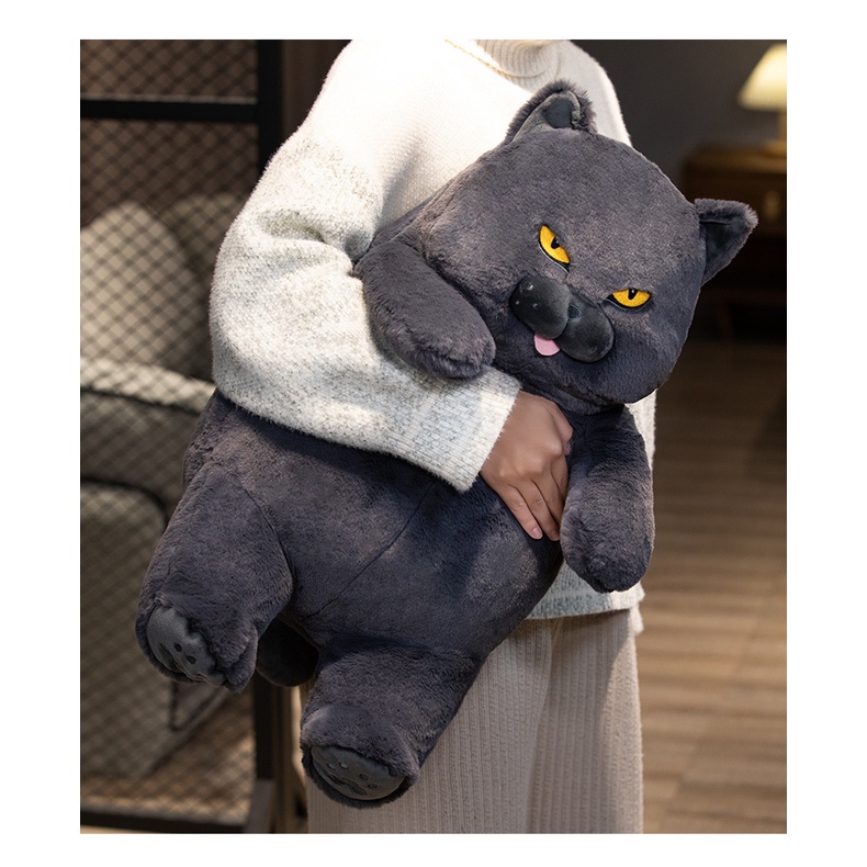 Thú Nhồi Bông Hình Chú Mèo Đen / Xanh / Chữ Tiếng Anh Trang Trí Nhà Cửa / Văn Phòng