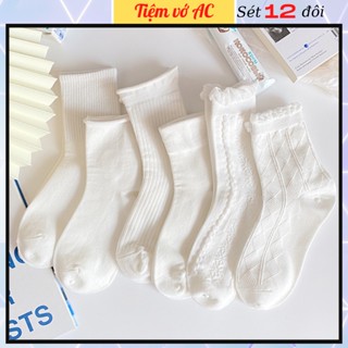 Tất trắng cao cổ sét 12 đôi lolita cổ bèo chất vải cotton co giãn bốn chiều T38